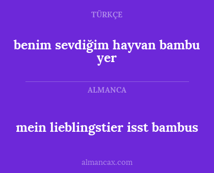 benim sevdiğim hayvan bambu yer - mein lieblingstier isst bambus
