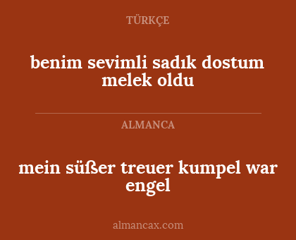 mein süßer treuer kumpel war engel - benim sevimli sadık dostum melek oldu