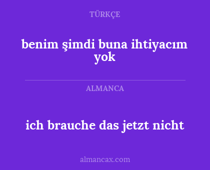 ich brauche das jetzt nicht - benim şimdi buna ihtiyacım yok