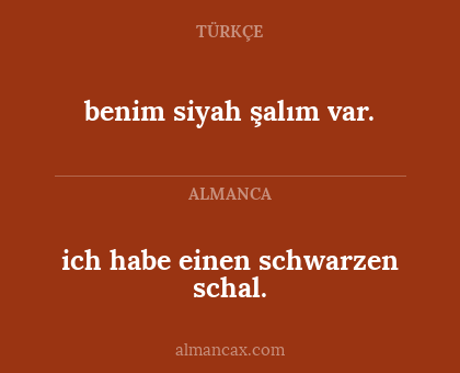 benim siyah şalım var. - ich habe einen schwarzen schal.
