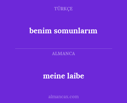 meine laibe - benim somunlarım