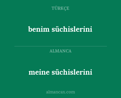 meine süchislerini - benim süchislerini