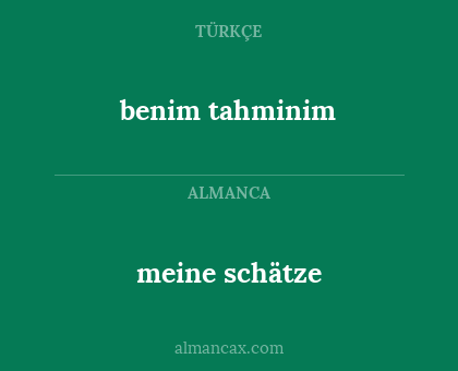 meine schätze - benim tahminim