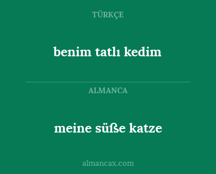 benim tatlı kedim - meine süße katze