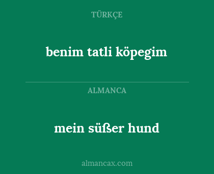 benim tatli köpegim - mein süßer hund