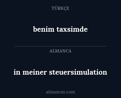benim taxsimde - in meiner steuersimulation