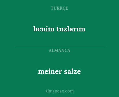 benim tuzlarım - meiner salze