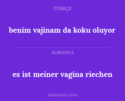 es ist meiner vagina riechen - benim vajinam da koku oluyor