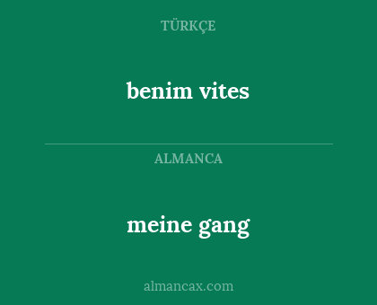 meine gang - benim vites