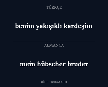 mein hübscher bruder - benim yakışıklı kardeşim
