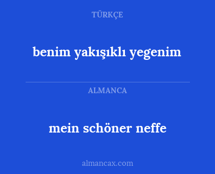benim yakışıklı yegenim - mein schöner neffe