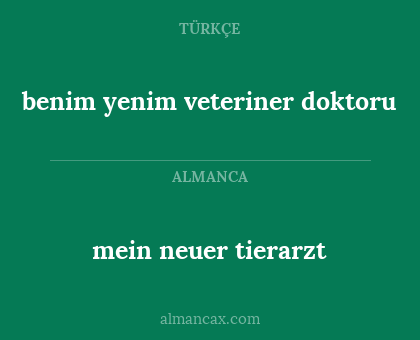 benim yenim veteriner doktoru - mein neuer tierarzt