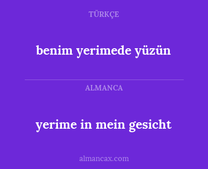 yerime in mein gesicht - benim yerimede yüzün
