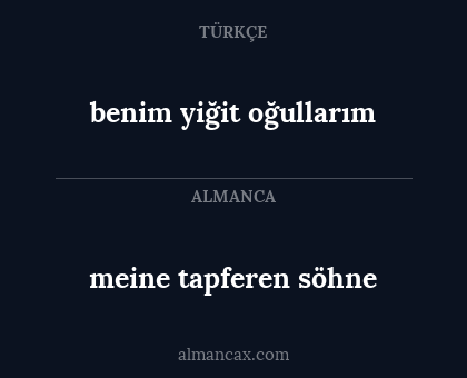 meine tapferen söhne - benim yiğit oğullarım