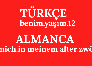 benim.ya%C5%9F%C4%B1m.12-mich.in+meinem+alter.zw%C3%B6lf.png