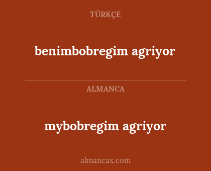 mybobregim agriyor - benimbobregim agriyor