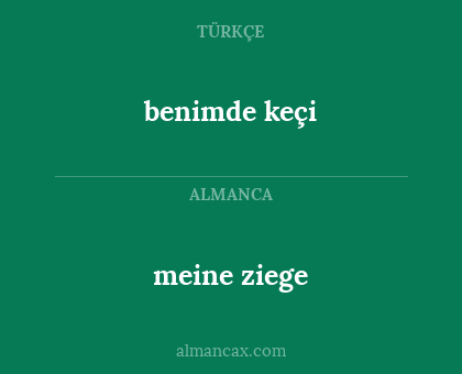 benimde keçi - meine ziege