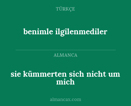 benimle ilgilenmediler - sie kümmerten sich nicht um mich
