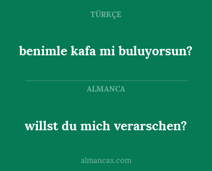 willst du mich verarschen? - benimle kafa mi buluyorsun?