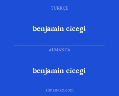 benjamin cicegi - benjamin cicegi