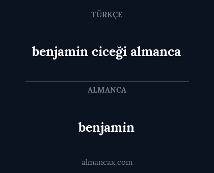 benjamin - benjamin ciceği almanca