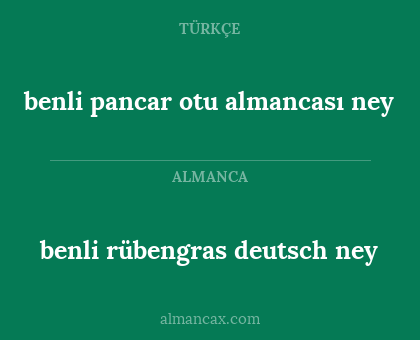 benli rübengras deutsch ney - benli pancar otu almancası ney