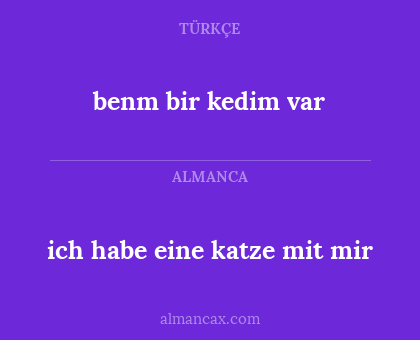ich habe eine katze mit mir - benm bir kedim var