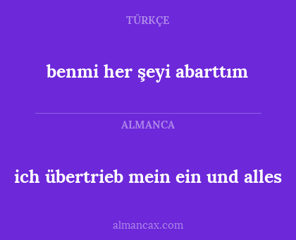 benmi her şeyi abarttım - ich übertrieb mein ein und alles