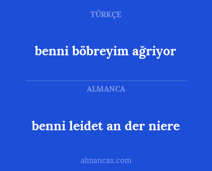 benni böbreyim ağriyor - benni leidet an der niere