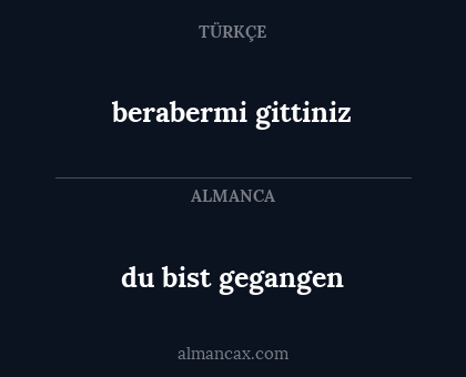 du bist gegangen - berabermi gittiniz