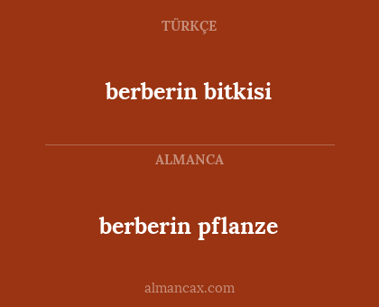 berberin bitkisi - berberin pflanze