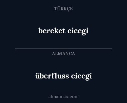 überfluss cicegi - bereket cicegi