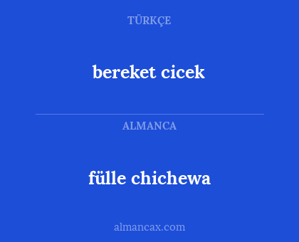 bereket cicek - fülle chichewa