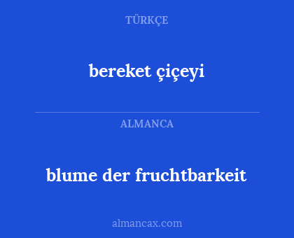 blume der fruchtbarkeit - bereket çiçeyi