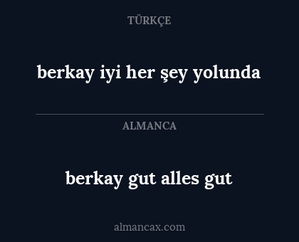 berkay iyi her şey yolunda - berkay gut alles gut
