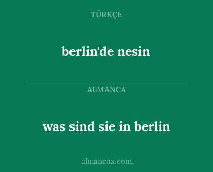 was sind sie in berlin - berlin'de nesin