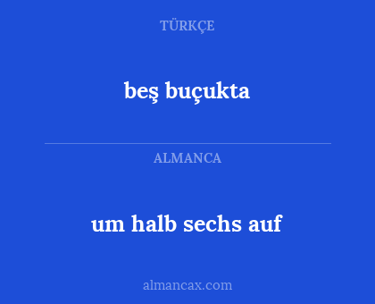 beş buçukta - um halb sechs auf