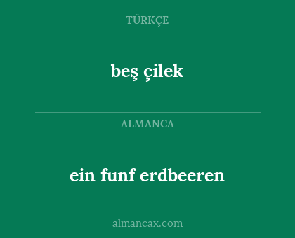 ein funf erdbeeren - beş çilek