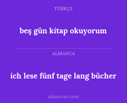 beş gün kitap okuyorum - ich lese fünf tage lang bücher