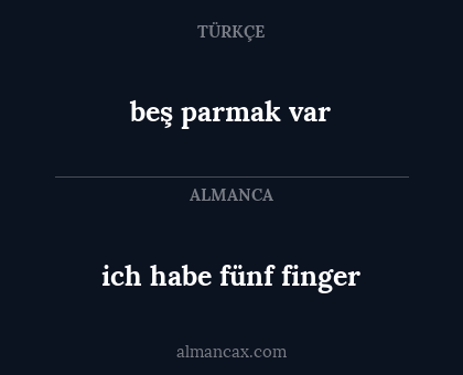 beş parmak var - ich habe fünf finger