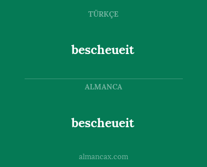 bescheueit - bescheueit