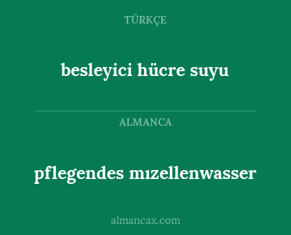 pflegendes mızellenwasser - besleyici hücre suyu