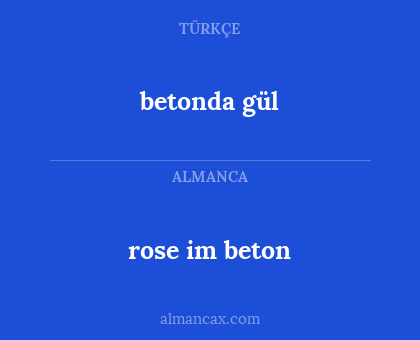 betonda gül - rose im beton