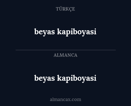 beyas kapiboyasi - beyas kapiboyasi
