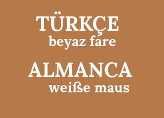 beyaz+fare-wei%C3%9Fe+maus.png