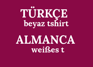 beyaz+tshirt-wei%C3%9Fes+t-shirt.png