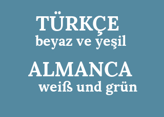 beyaz+ve+ye%C5%9Fil-wei%C3%9F+und+gr%C3%BCn.png