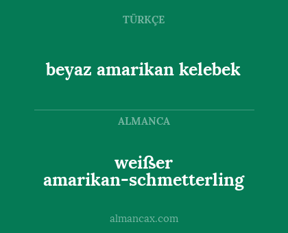 beyaz amarikan kelebek - weißer amarikan-schmetterling