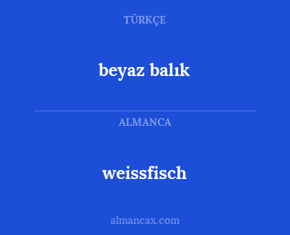 weissfisch - beyaz balık