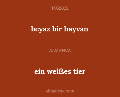 beyaz bir hayvan - ein weißes tier